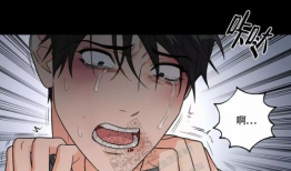 侵犯耽美漫画,版权争议下的艺术与法律边界